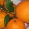 Photo: 'Orange colour 2:orange and mandarins'
