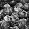 Photo: 'Blueberry'