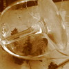Photo: 'Resting in glass 2'
